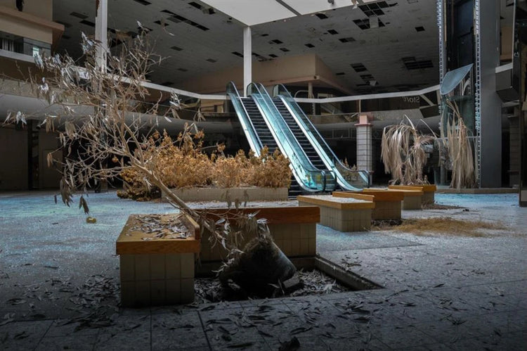 THE MALL OF DISCONTENT